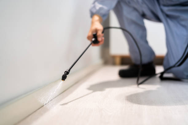 Licensed Pest Control service in Red Oaks Mill, NY - Show Me Pest Control