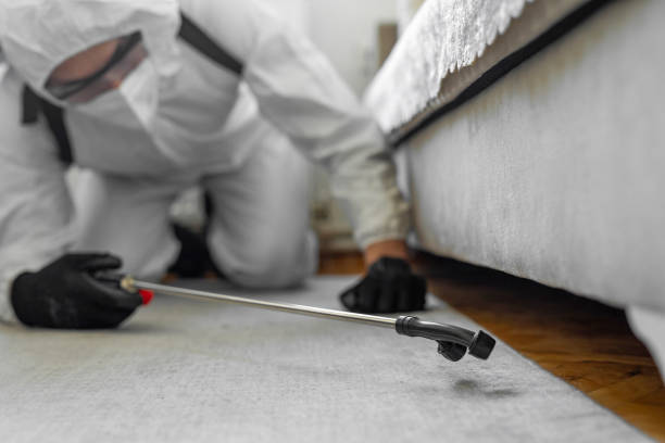 Professional Ant Control technician working in Red Oaks Mill, NY